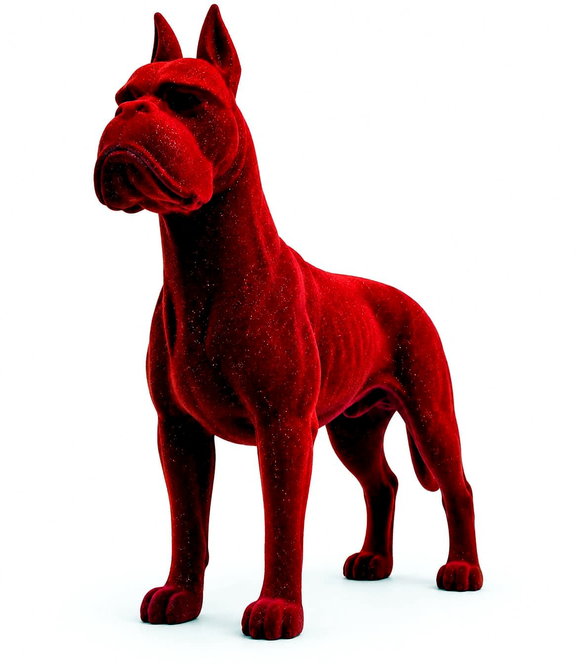 The Velvet Guardian